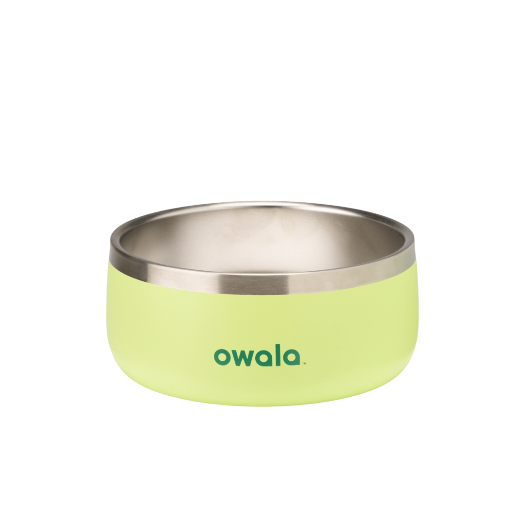 Pet Bowl | Home Select