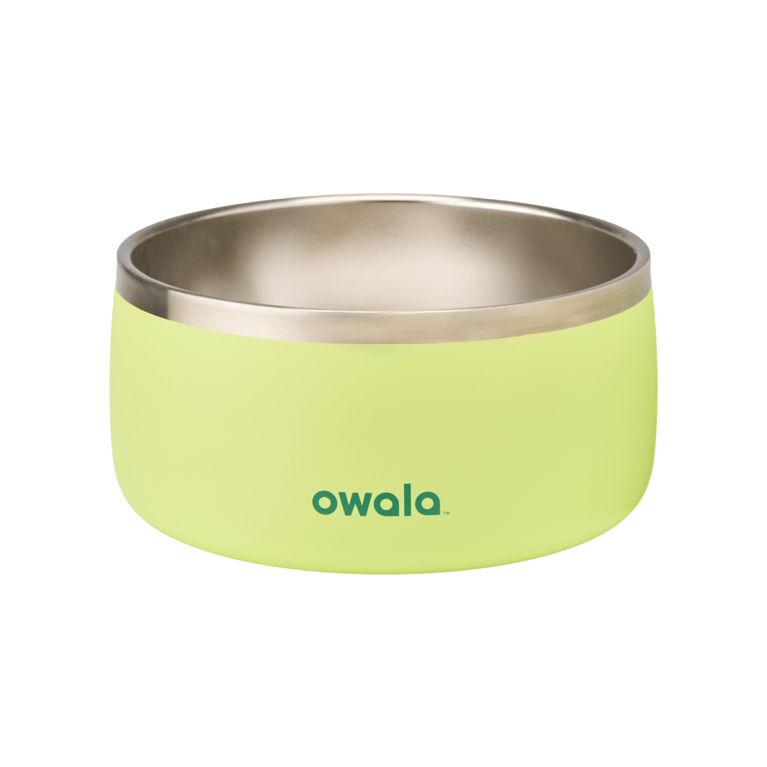 Pet Bowl | Home Select