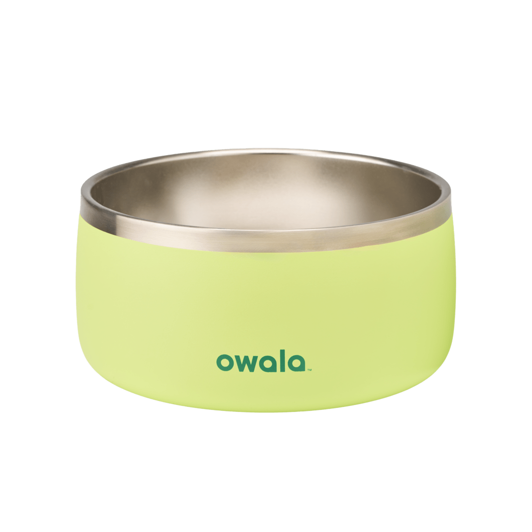 Pet Bowl | Home Select