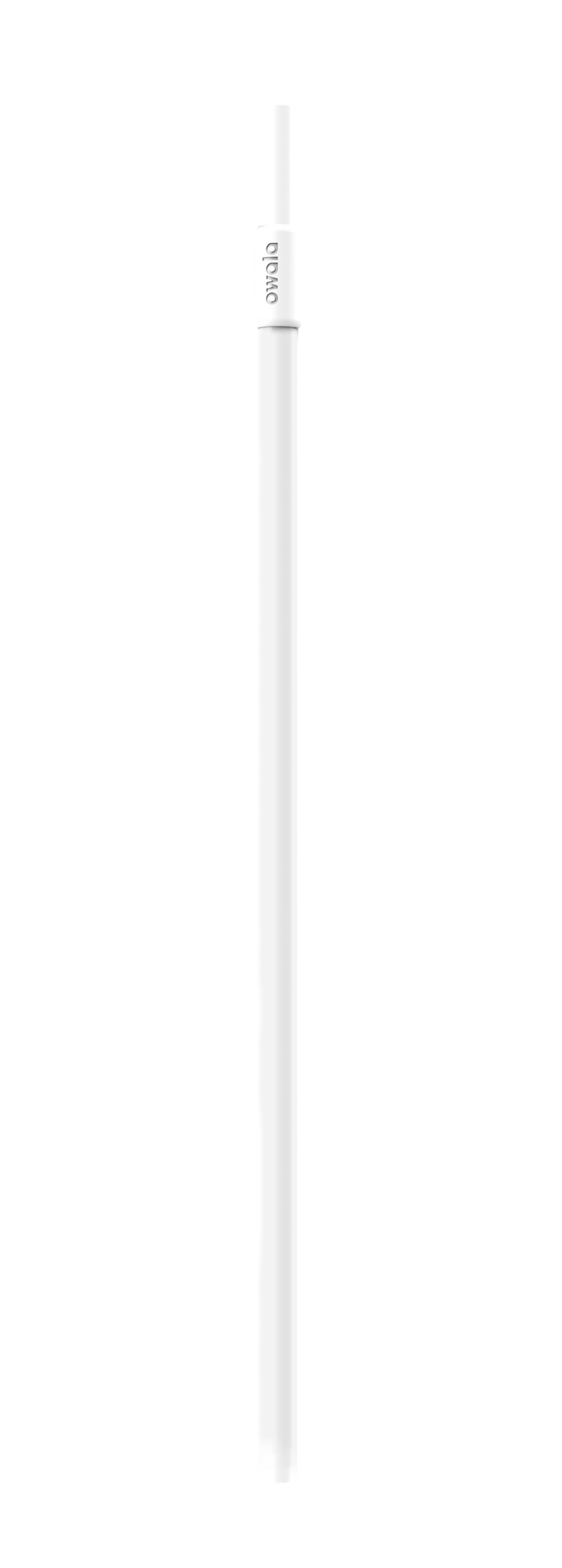 Replacement Straws | Core Style