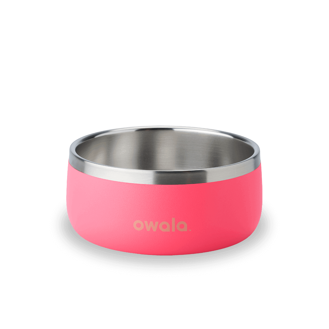 Pet Bowl | Home Select