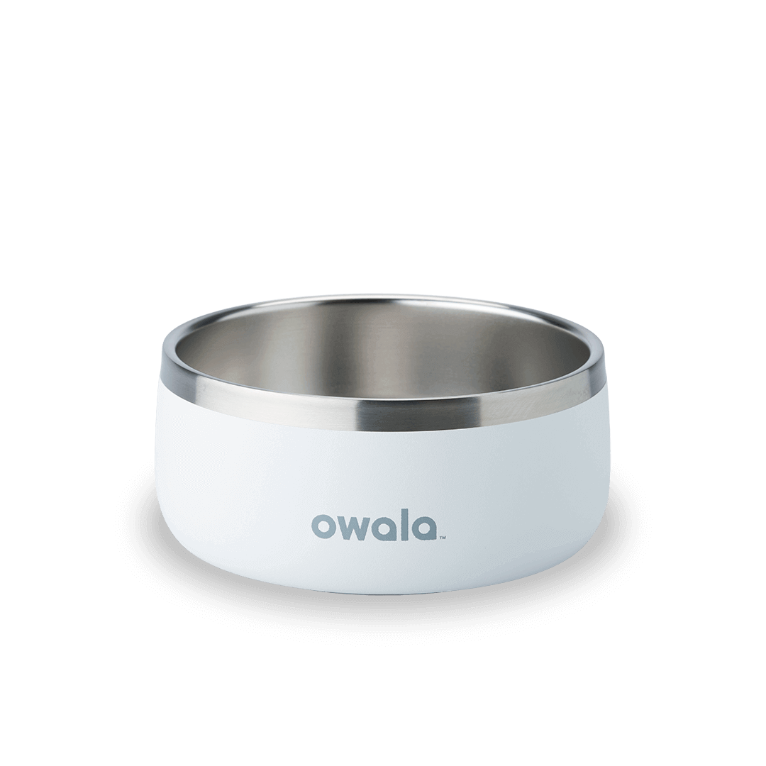 Pet Bowl | Home Select