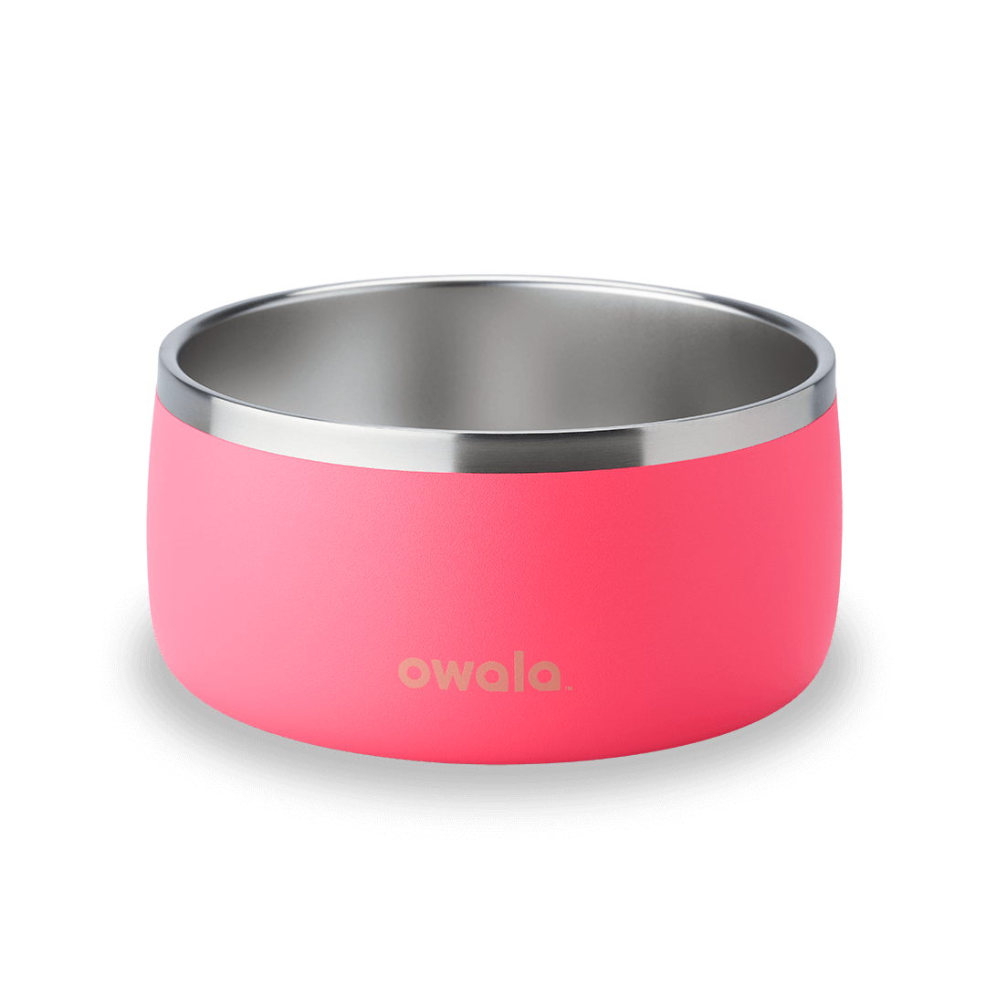 Pet Bowl | Home Select