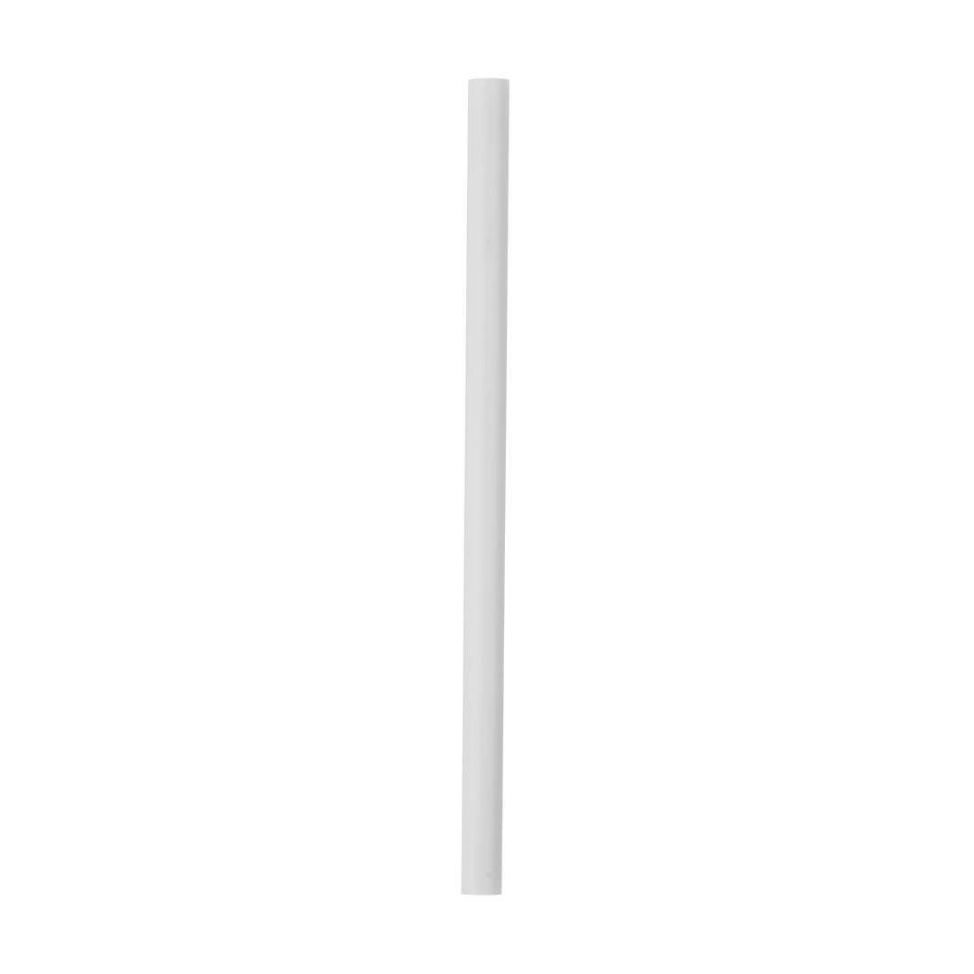 Replacement Straws | Core Style